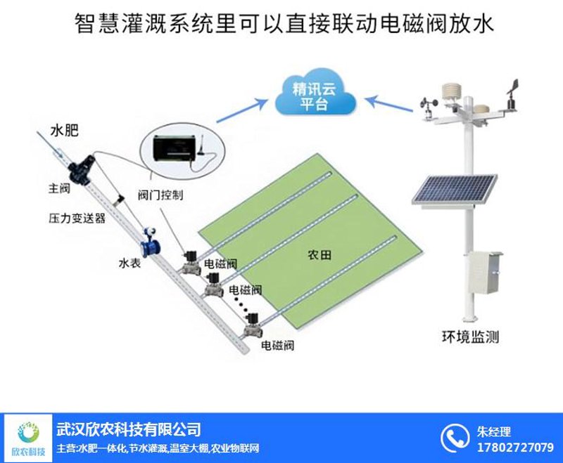 选购指南:了解如艺农业,享受绿色健康生活